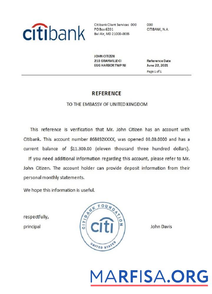 Blank USA Citibank reference template